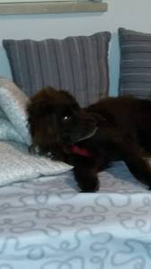 Woe to those who fail to feed the Beast